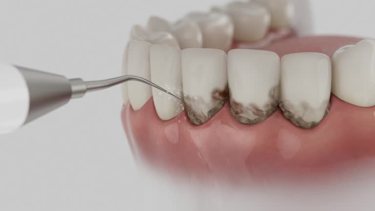 Reliable Dental contractor in Broad Creek, NC by Dentist Open Now